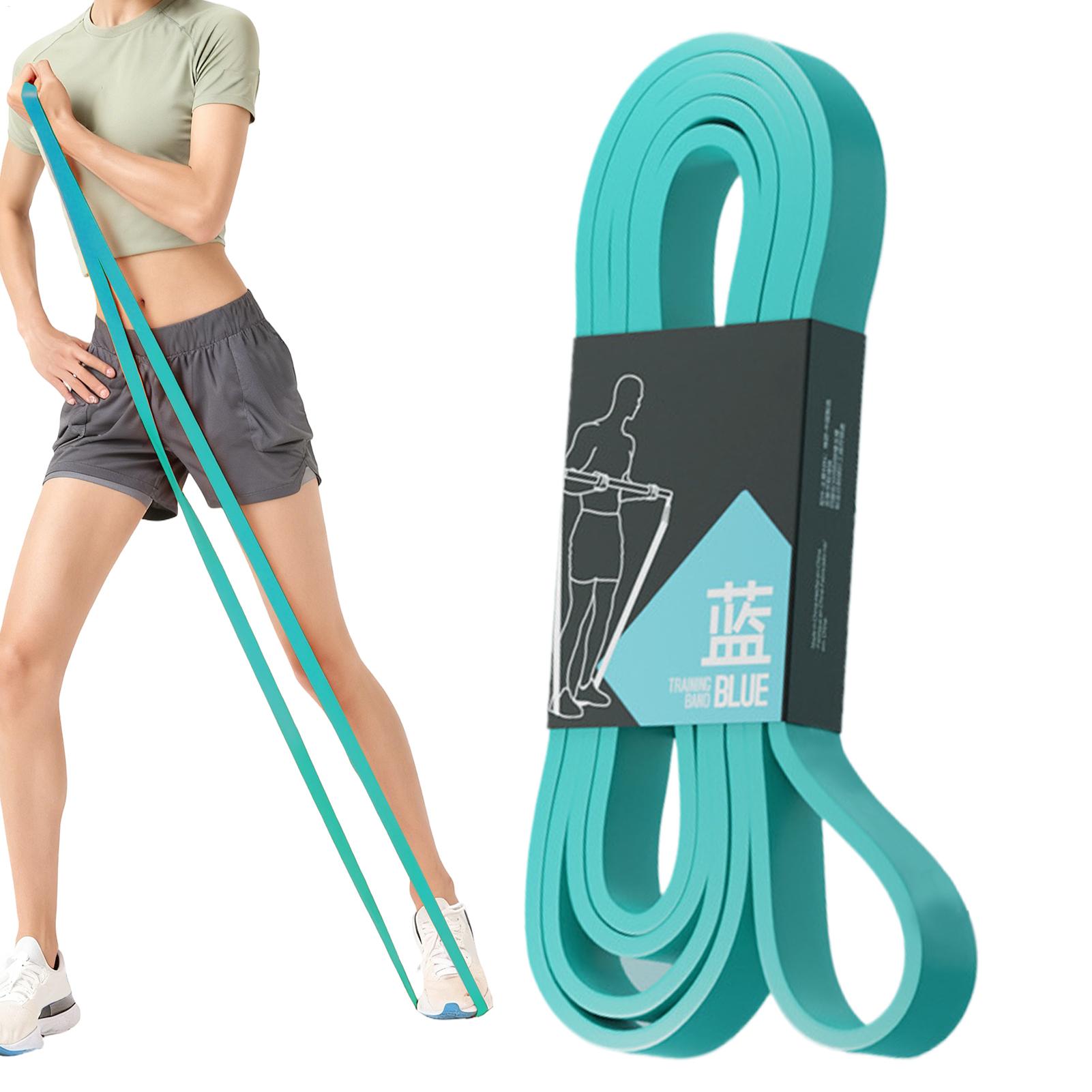 1pc Workout Resistance Bands E - Milanaise Mesh Band review and price